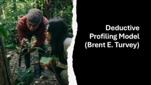 Deductive Profiling Model