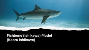 Fishbone (Ishikawa) Model