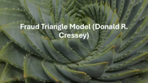 Fraud Triangle Model