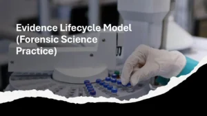 Evidence Lifecycle Model