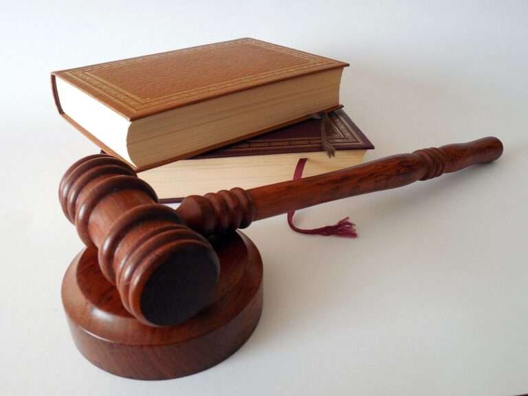 hammer, books, law, dish, lawyer, paragraphs, regulation, court of justice, a book, §, code, law books, judge, order, rule, disposal, auction, law, law, law, law, law, lawyer, lawyer