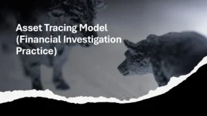 Asset Tracing Model