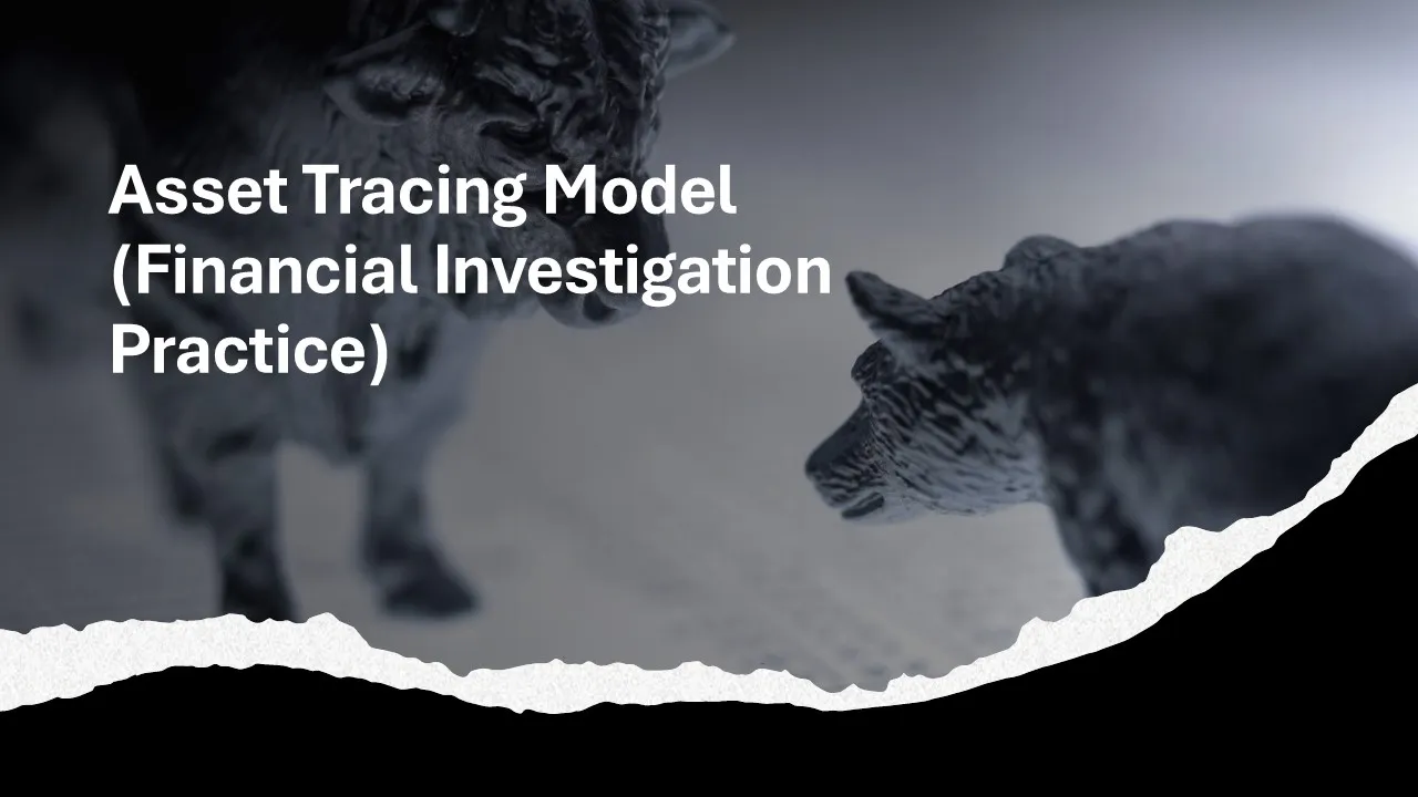 Asset Tracing Model in Financial Investigations Practice