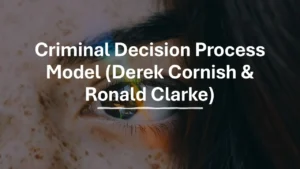 Criminal Decision Process Model