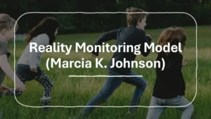 Reality Monitoring Model