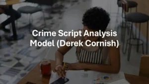 Crime Script Analysis Model
