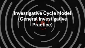 Investigative Cycle Model