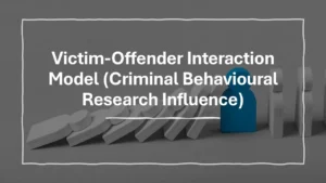Victim-Offender Interaction Model