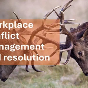 Workplace conflict management and resolution