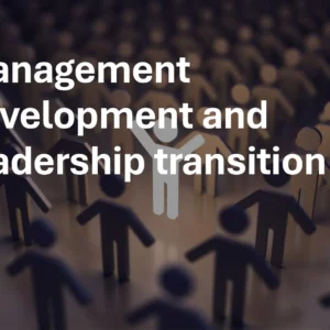 Management development and leadership transition