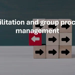 Facilitation and group process management