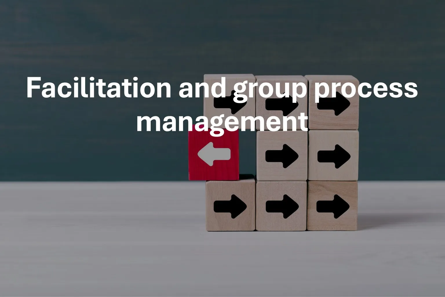 Facilitation and group process management