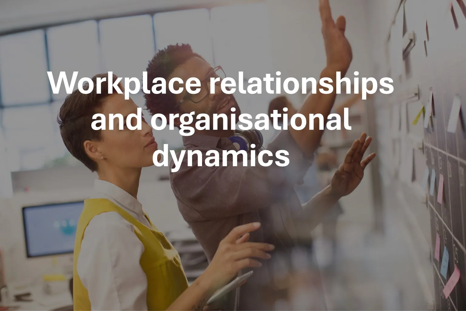 Workplace relationships and organisational dynamics