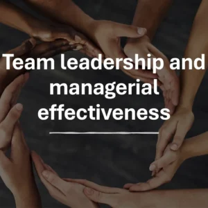 Team leadership and managerial effectiveness
