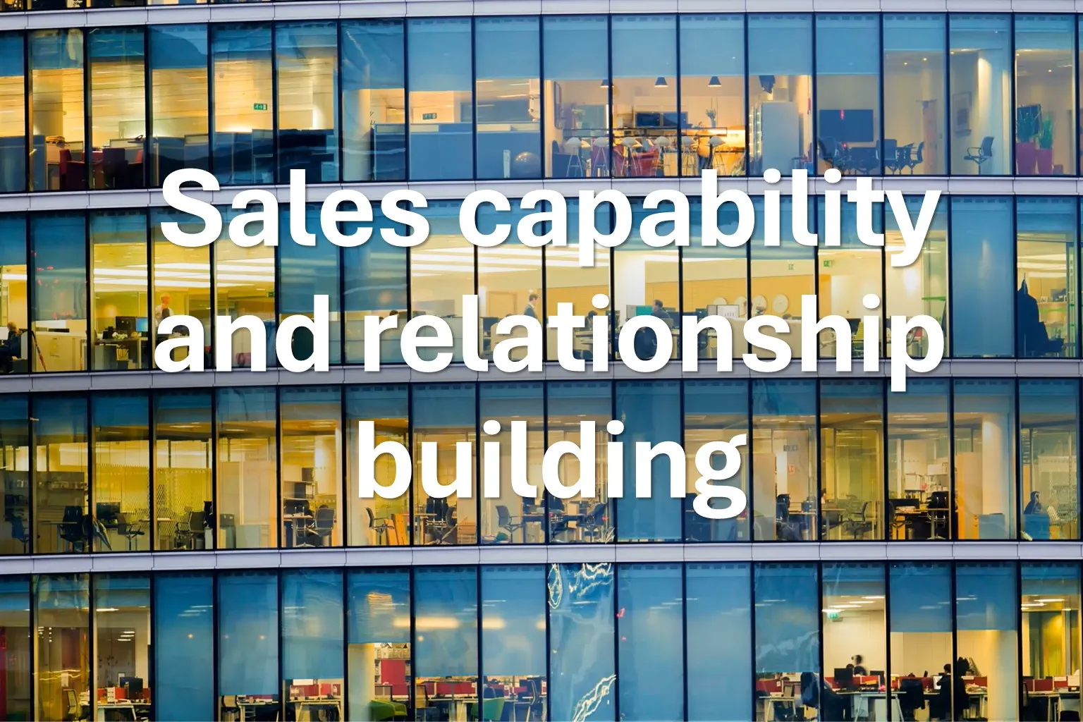 Sales capability and relationship building
