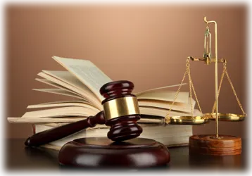 Explore sector offences and legal implications, laws, penalties, compliance, investigation duties, accountability, and risk prevention.